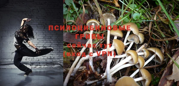 дмт Армянск