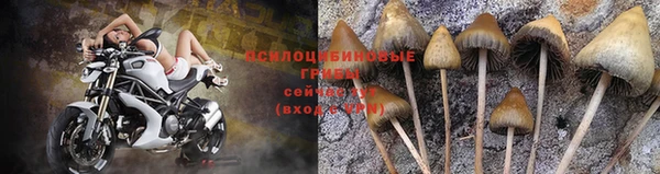 mdpv Аркадак
